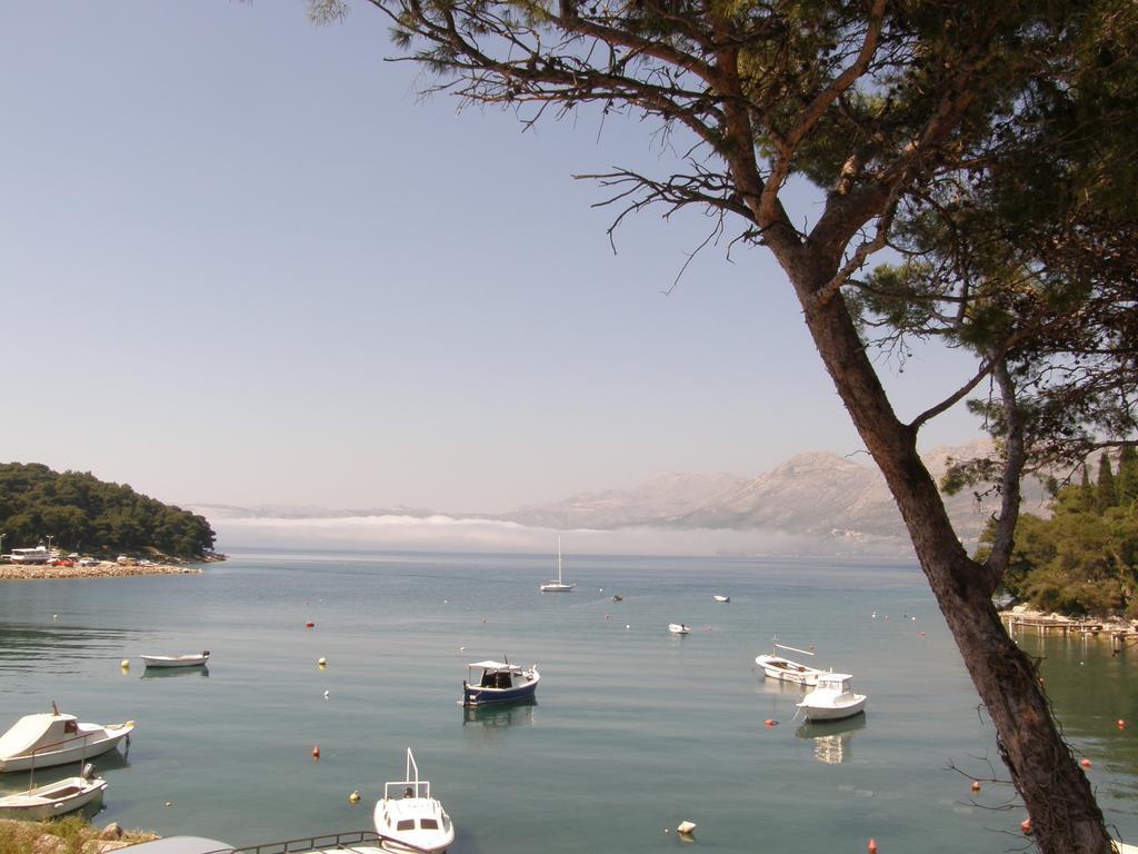 Vanda Seafront Fantastic Cavtat Zewnętrze zdjęcie